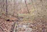 Track Bed outside the east end